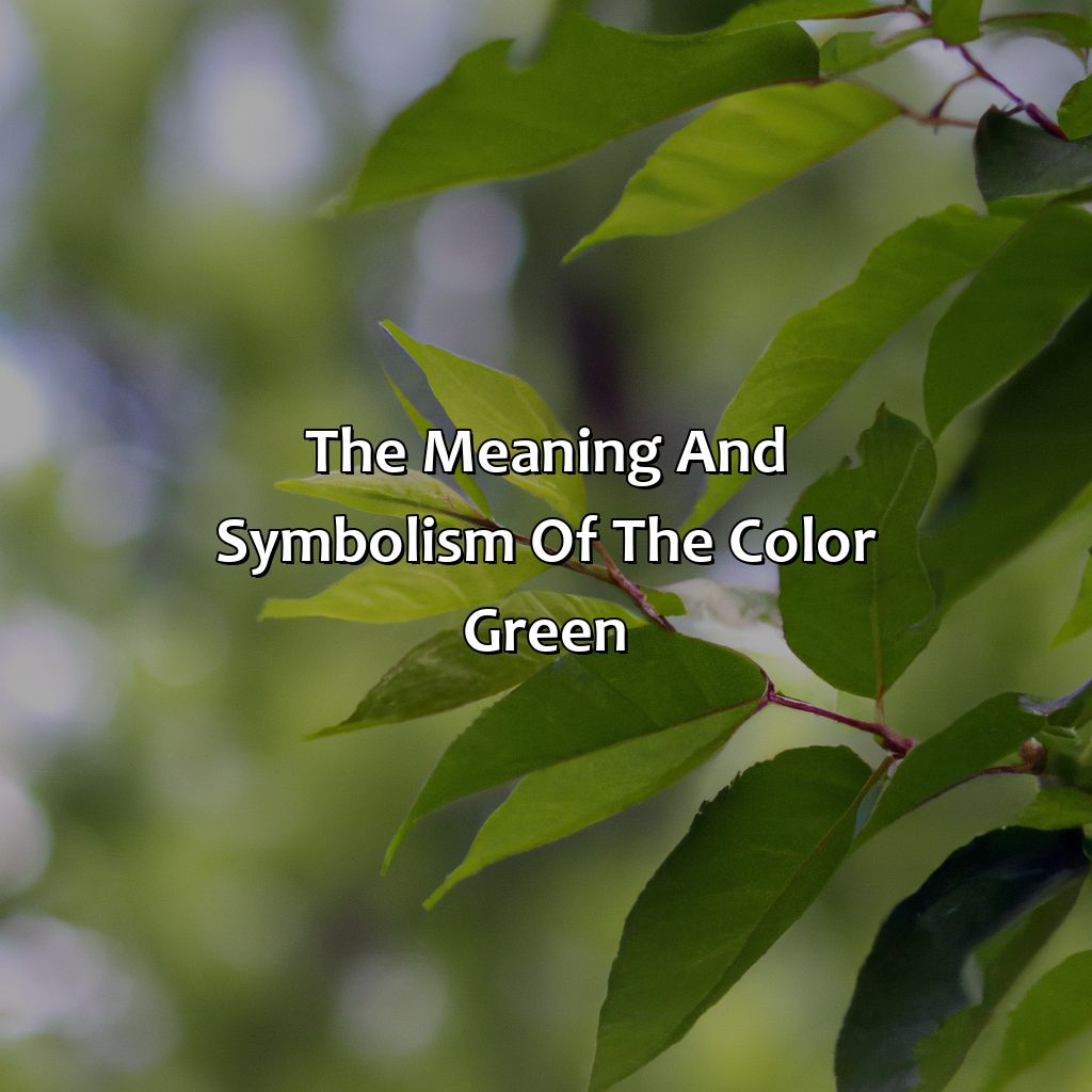The Meaning And Symbolism Of The Color Green  - What Does The Color Green Mean?, 