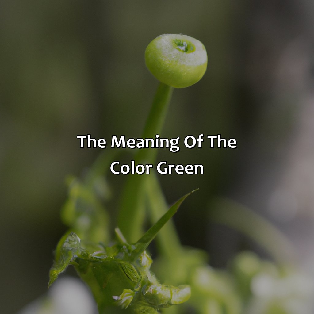 The Meaning Of The Color Green  - What Does The Color Green Mean Personality, 
