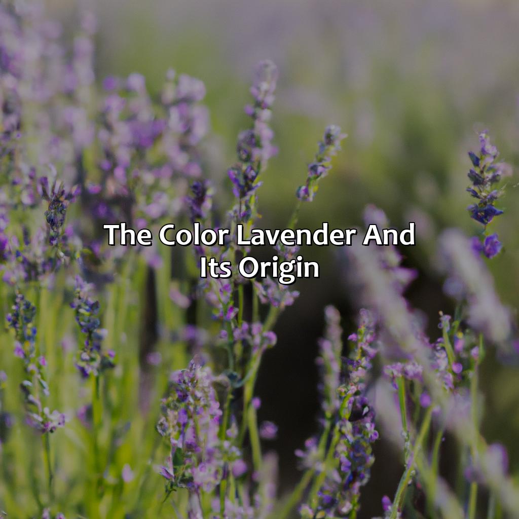 The Color Lavender And Its Origin  - What Does The Color Lavender Mean, 