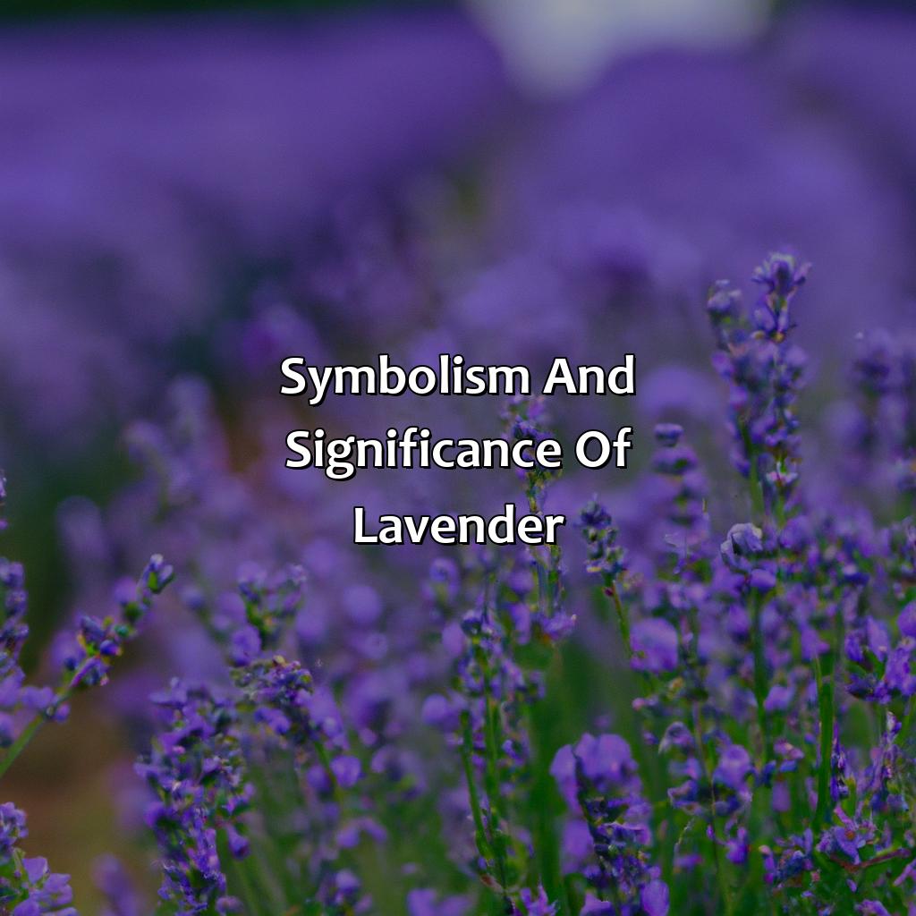 Symbolism And Significance Of Lavender  - What Does The Color Lavender Represent, 