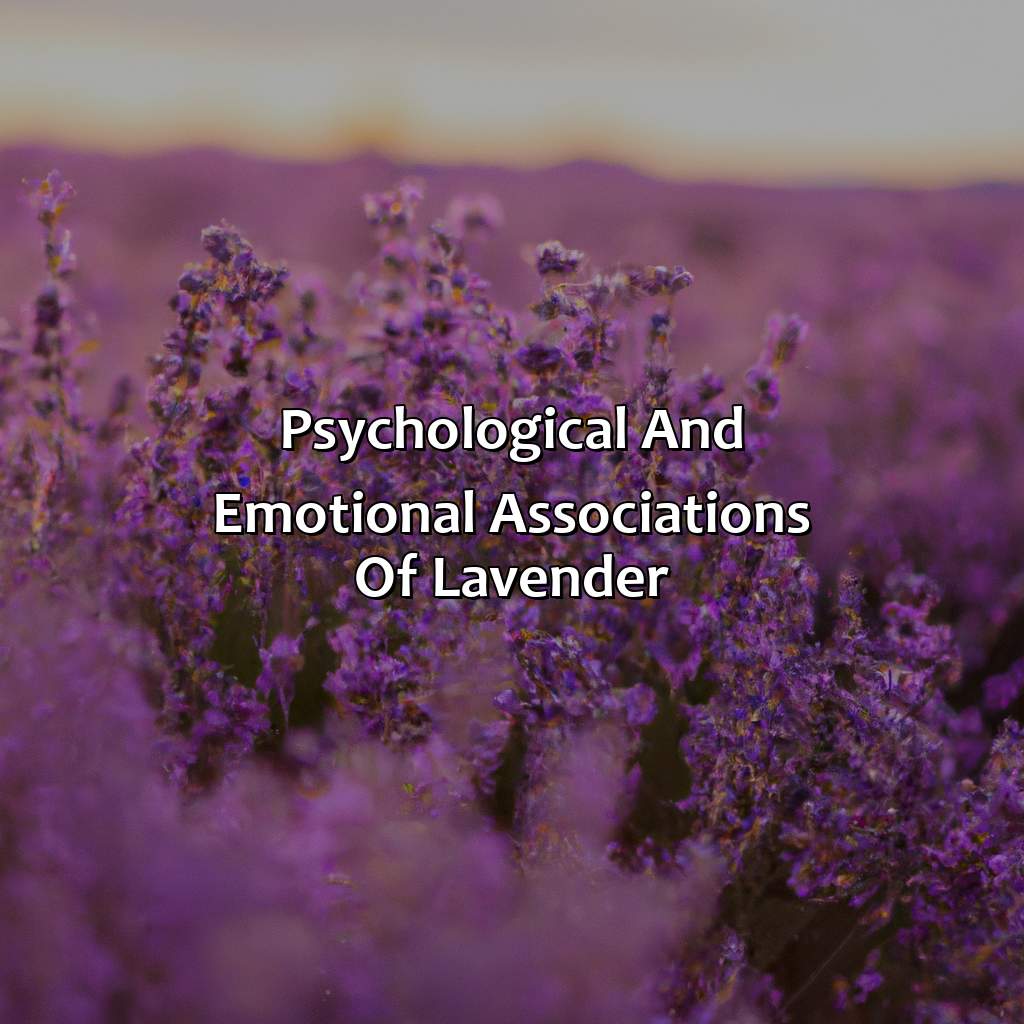 Psychological And Emotional Associations Of Lavender  - What Does The Color Lavender Represent, 