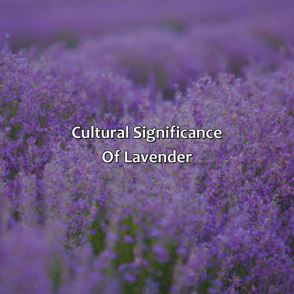 Cultural Significance Of Lavender  - What Does The Color Lavender Represent, 