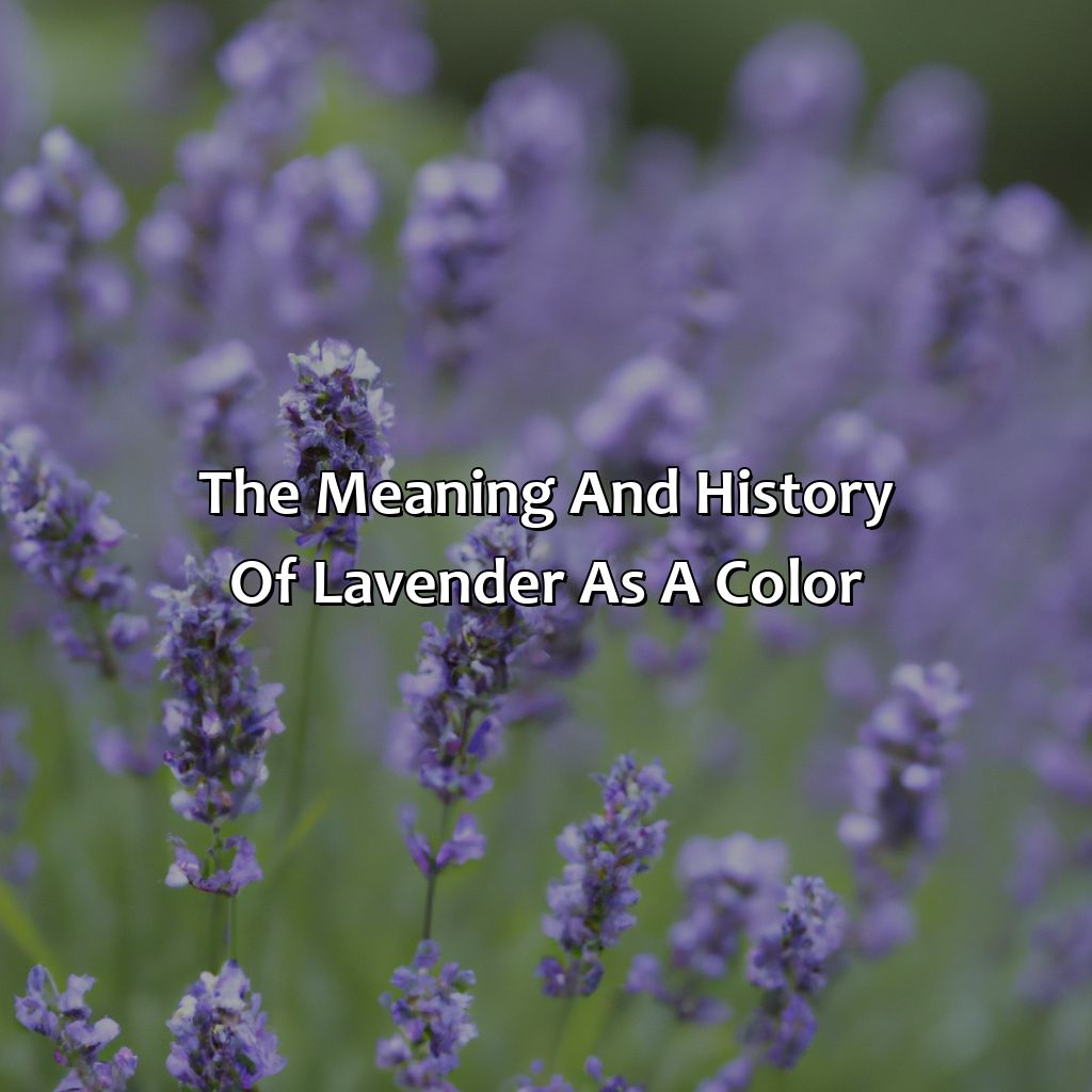 The Meaning And History Of Lavender As A Color  - What Does The Color Lavender Represent, 