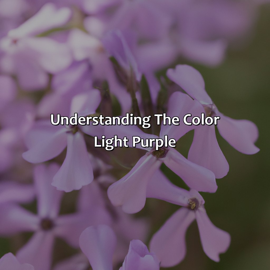 Understanding The Color Light Purple  - What Does The Color Light Purple Mean, 