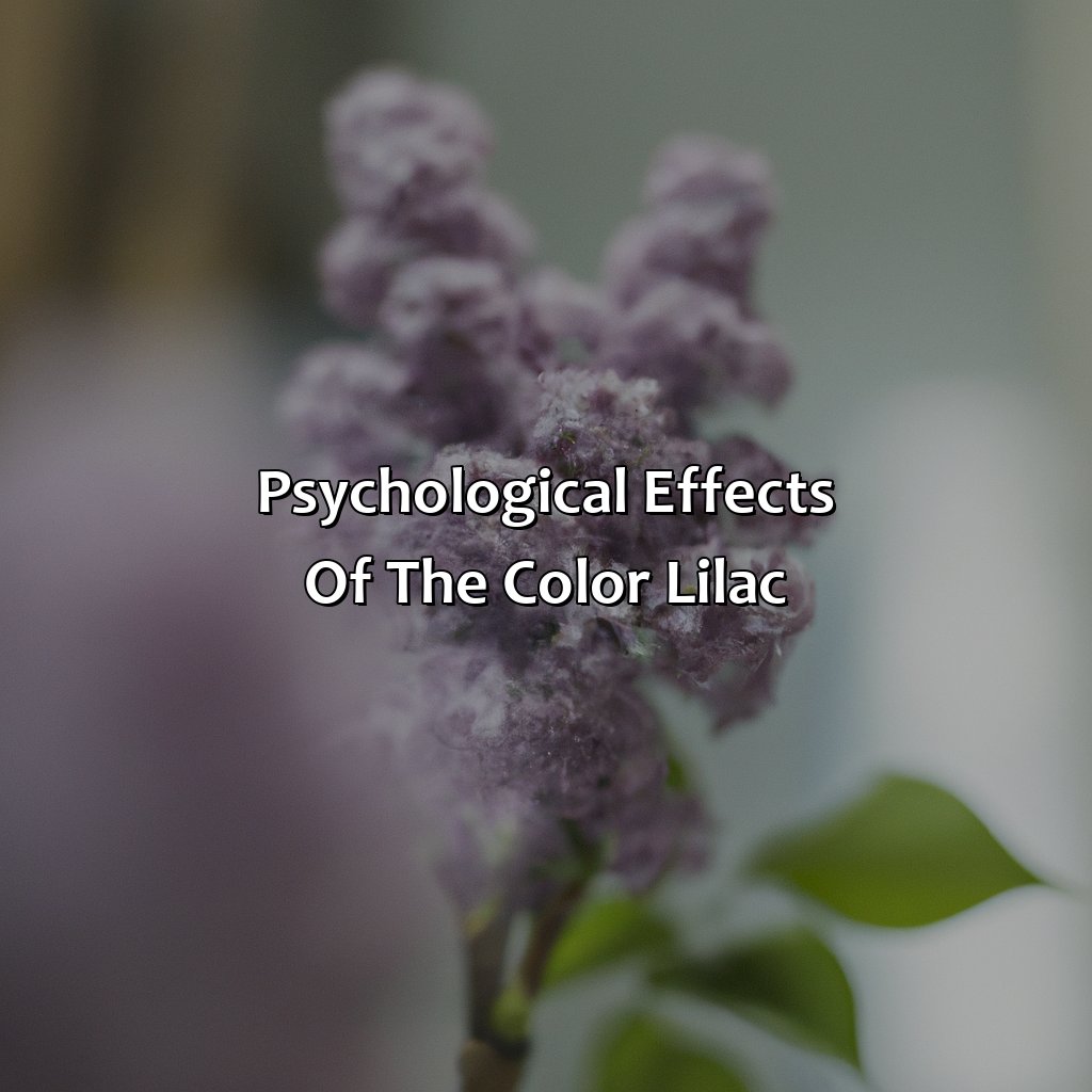 Psychological Effects Of The Color Lilac  - What Does The Color Lilac Mean, 