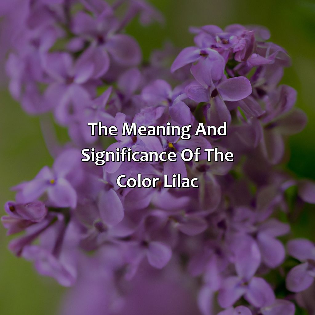 The Meaning And Significance Of The Color Lilac  - What Does The Color Lilac Mean, 