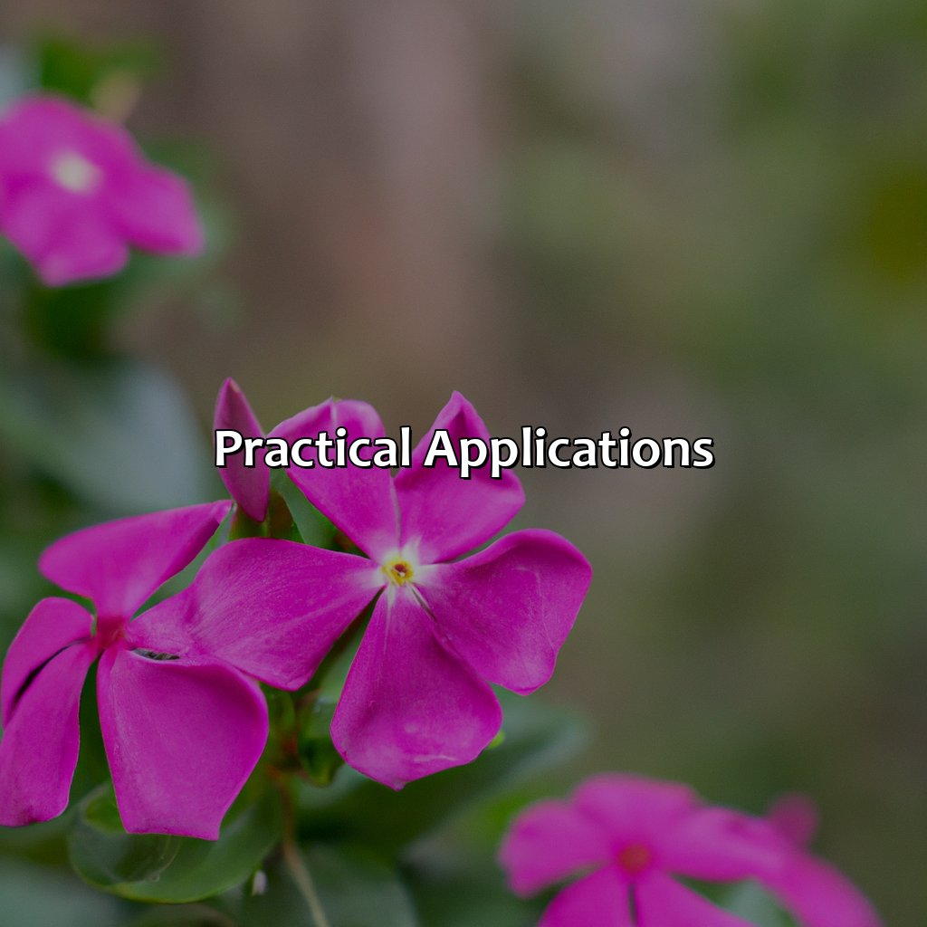 Practical Applications  - What Does The Color Magenta Look Like, 