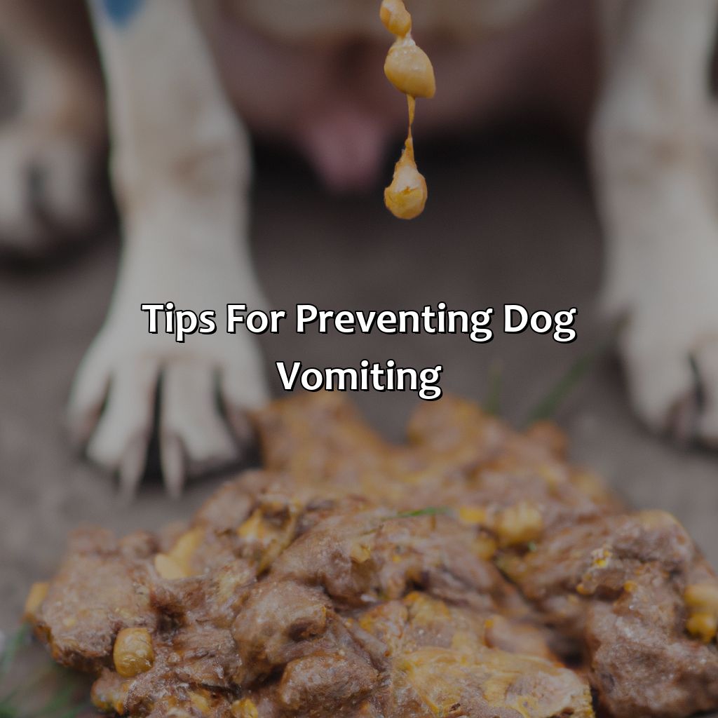 Tips For Preventing Dog Vomiting  - What Does The Color Of Dog Vomit Mean, 
