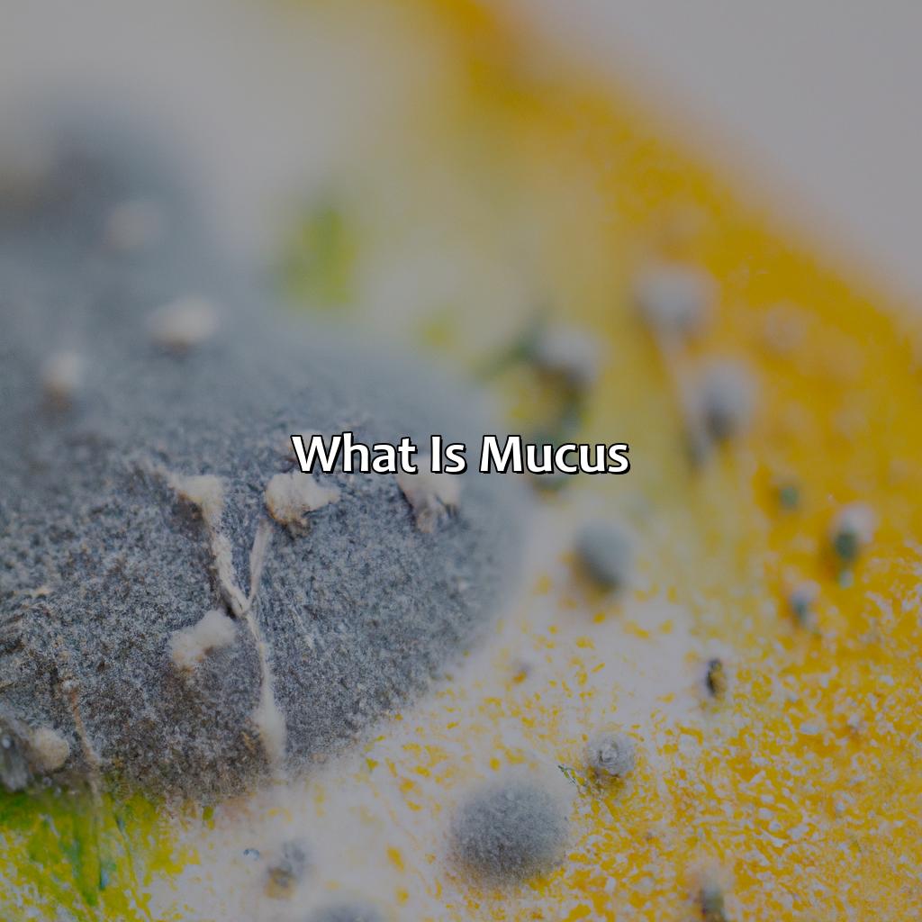 What Is Mucus?  - What Does The Color Of My Mucus Mean, 