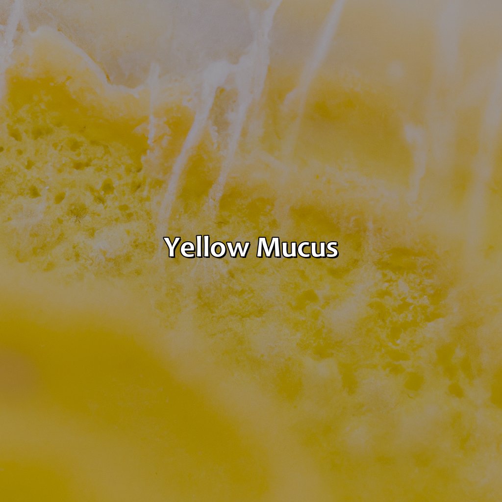 Yellow Mucus  - What Does The Color Of My Mucus Mean, 