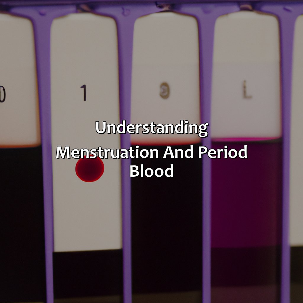 Understanding Menstruation And Period Blood  - What Does The Color Of My Period Blood Mean, 