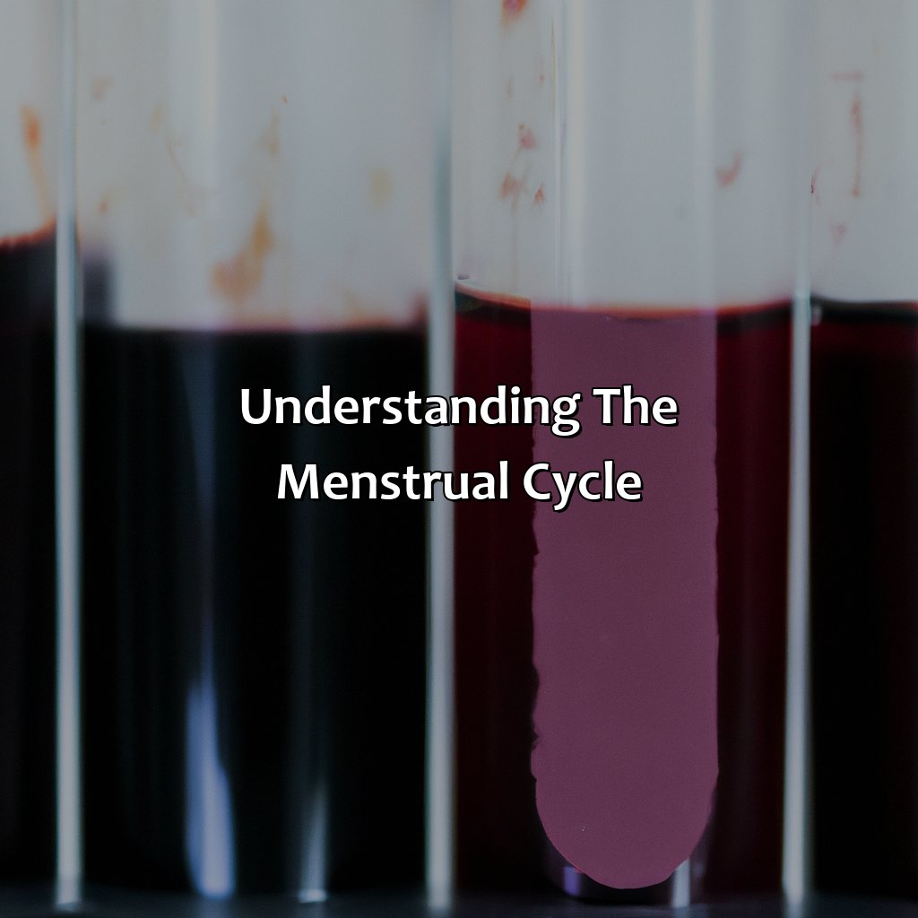 Understanding The Menstrual Cycle  - What Does The Color Of Period Blood Mean, 