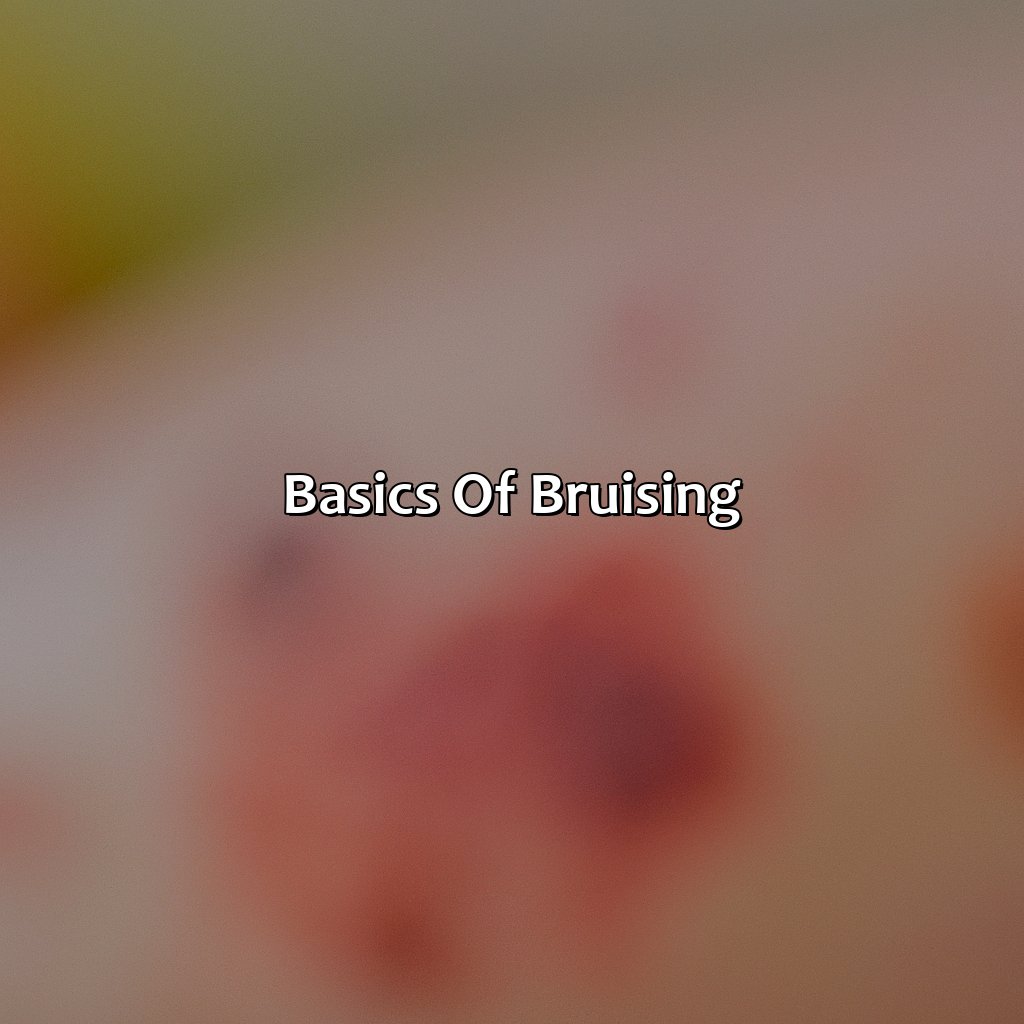 Basics Of Bruising  - What Does The Color Of The Bruises Mean, 