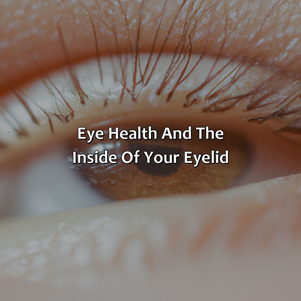 Eye Health And The Inside Of Your Eyelid  - What Does The Color Of The Inside Of Your Eyelid Mean, 