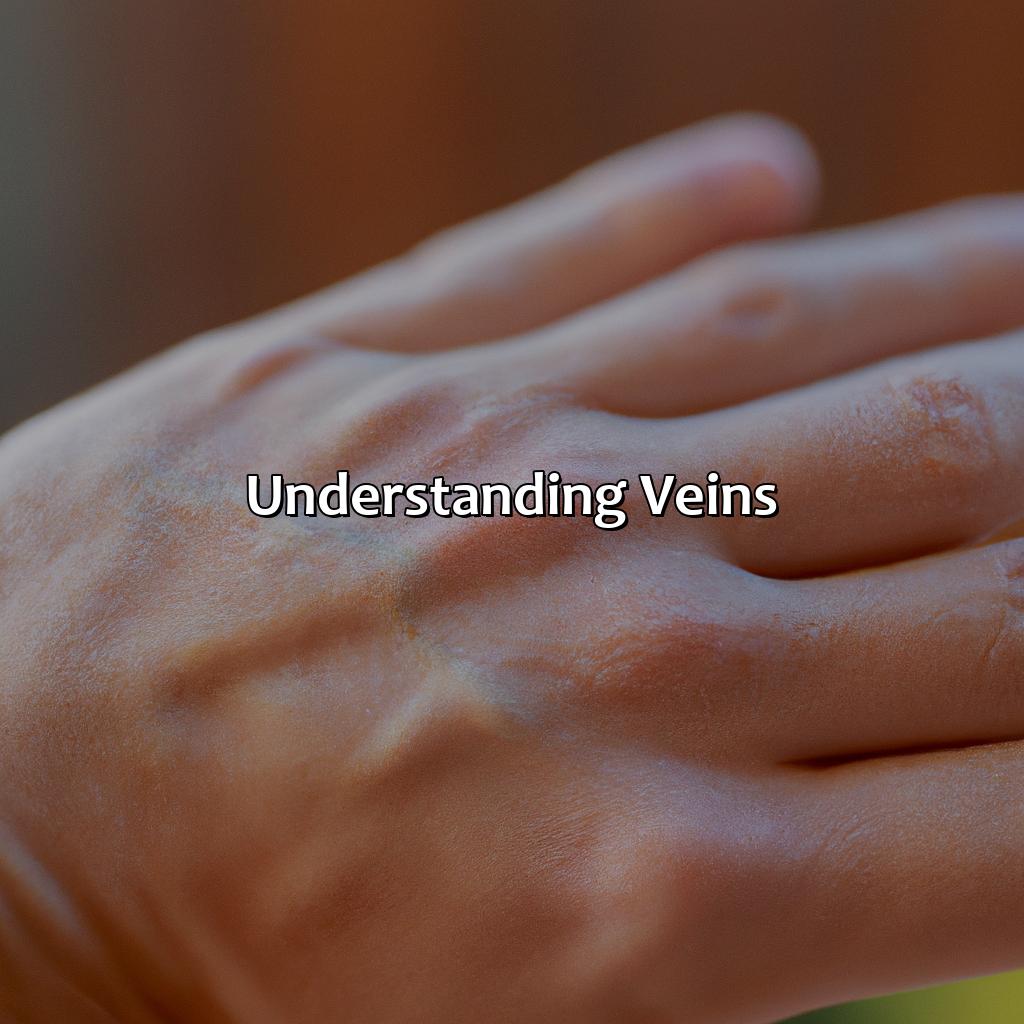 Understanding Veins  - What Does The Color Of Your Veins Mean, 