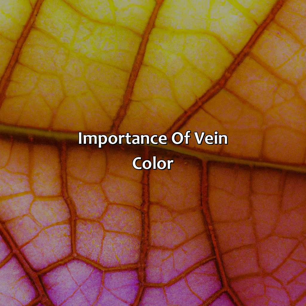 Importance Of Vein Color  - What Does The Color Of Your Veins Mean, 
