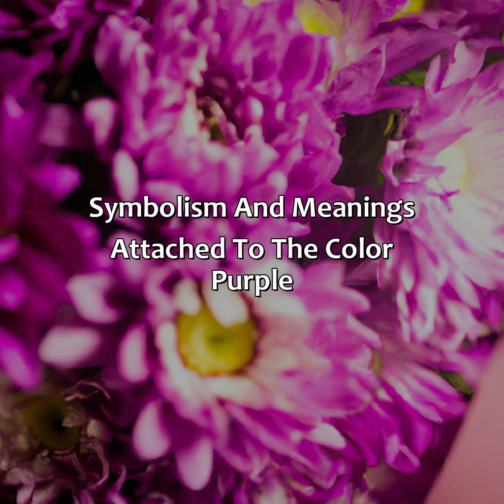 Symbolism And Meanings Attached To The Color Purple  - What Does The Color Purple Mean?, 