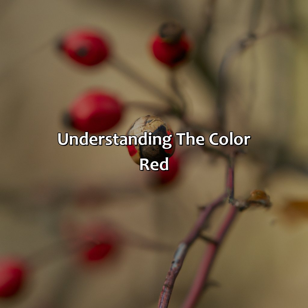 Understanding The Color Red  - What Does The Color Red Mean?, 