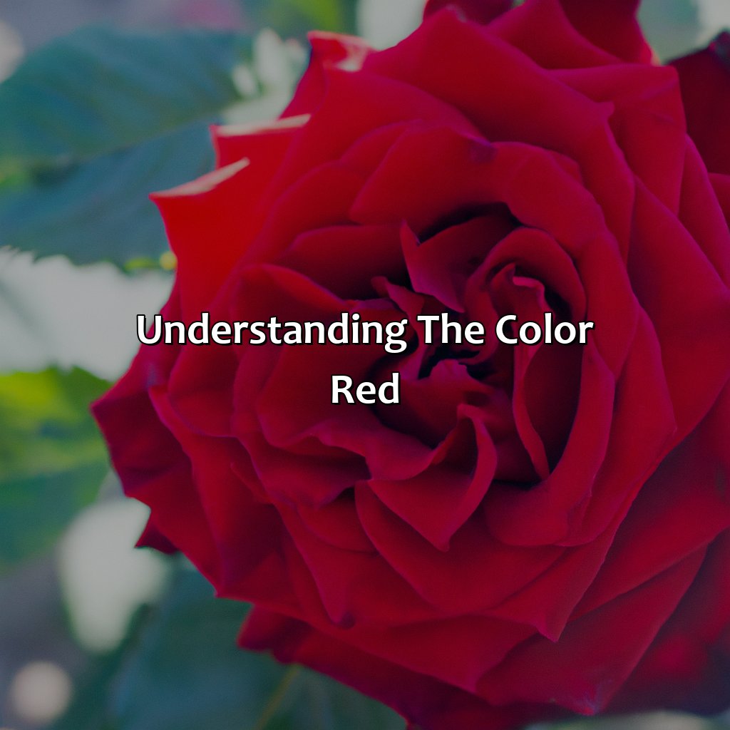 Understanding The Color Red  - What Does The Color Red Mean In A Dream, 