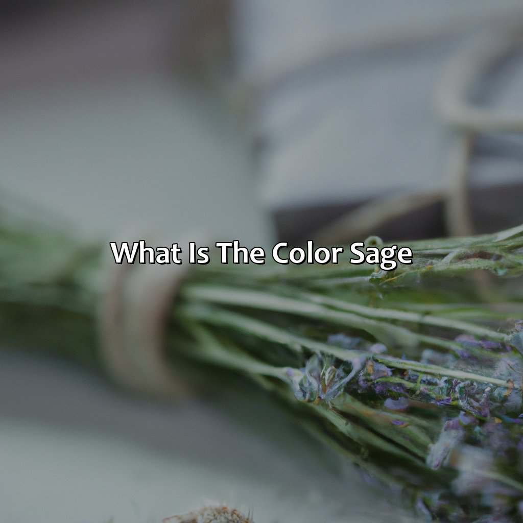 What Is The Color Sage?  - What Does The Color Sage Look Like, 