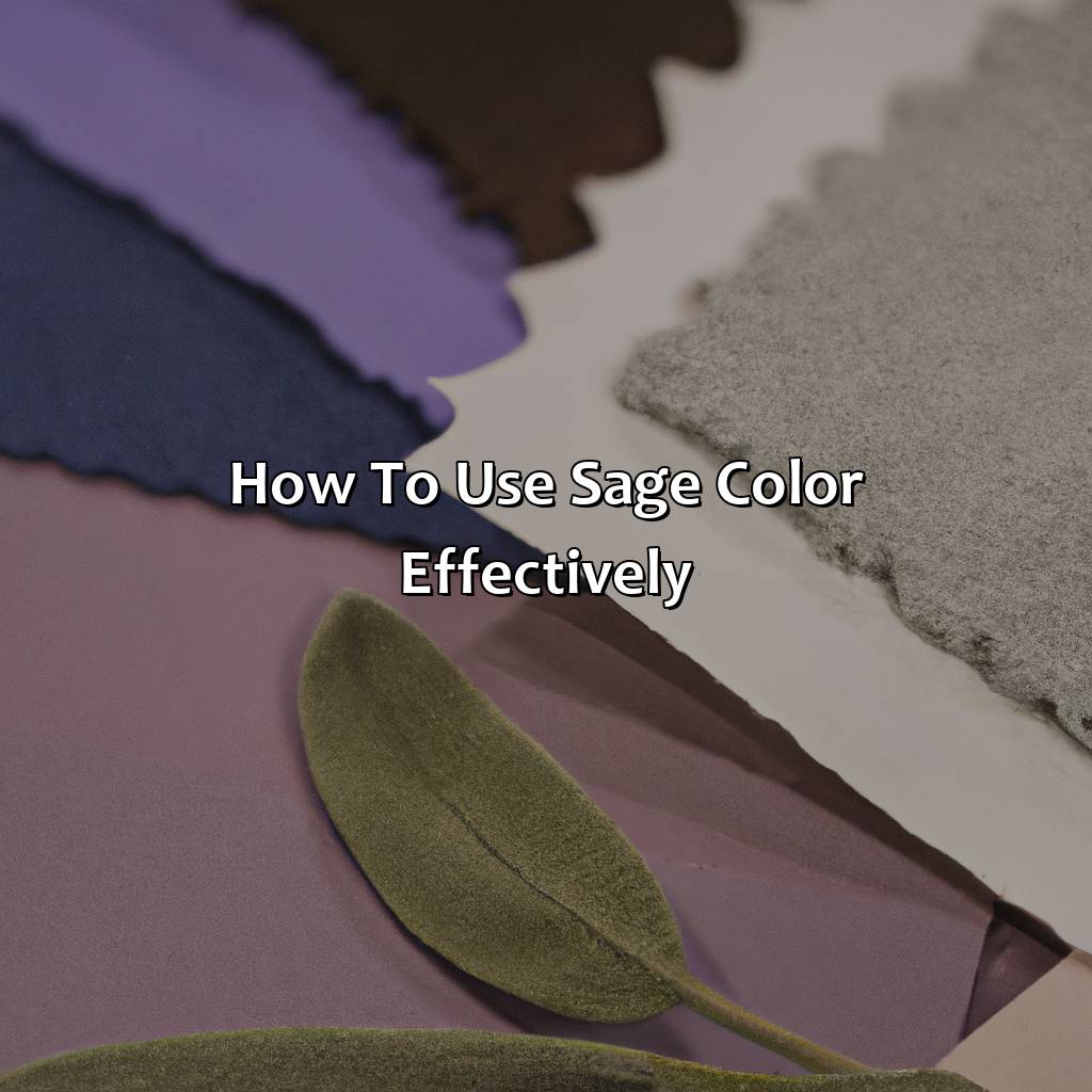 How To Use Sage Color Effectively  - What Does The Color Sage Look Like, 