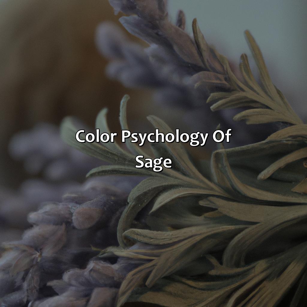Color Psychology Of Sage  - What Does The Color Sage Look Like, 