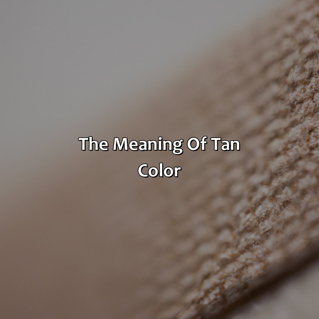 The Meaning Of Tan Color - What Does The Color Tan Mean, 