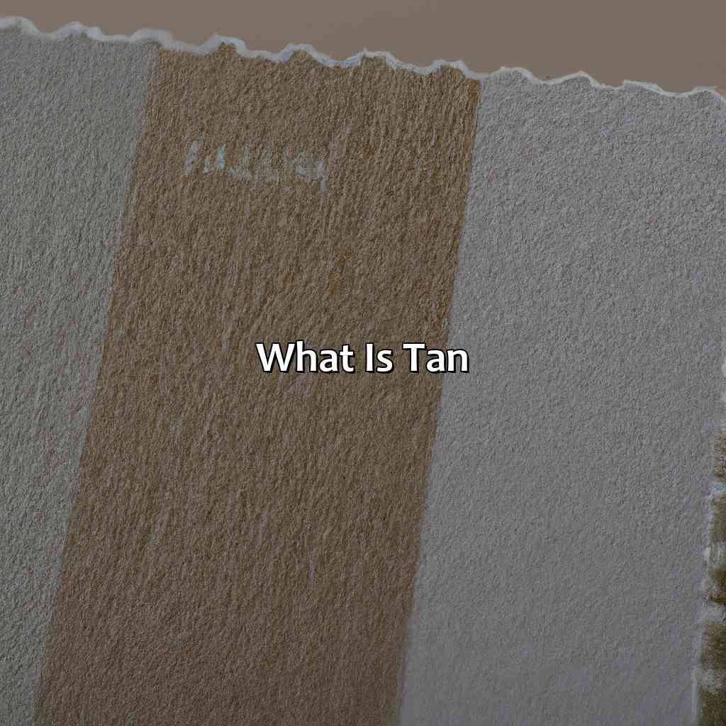 What Is Tan?  - What Does The Color Tan Mean, 