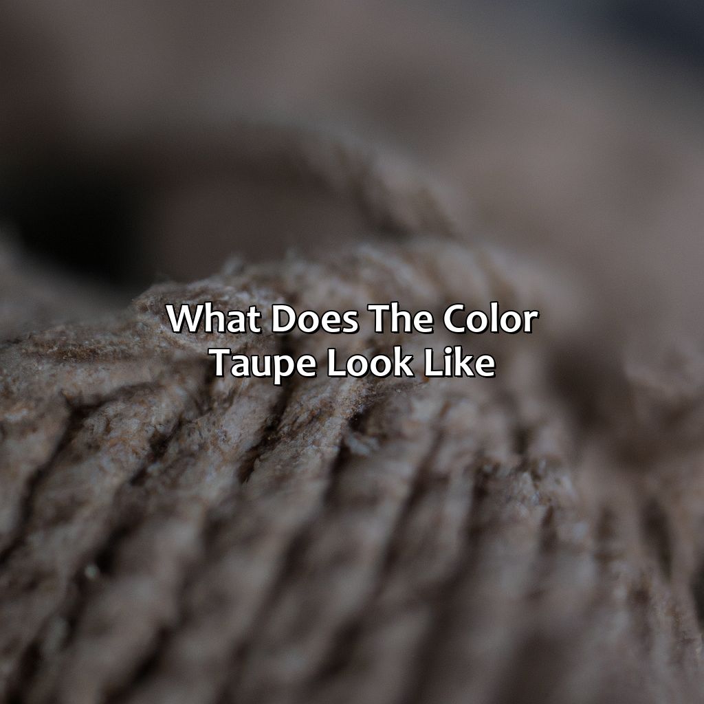 What Does The Color Taupe Look Like - colorscombo.com