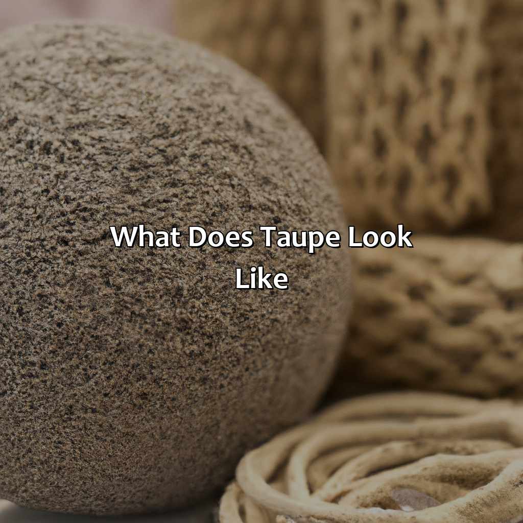 What Does Taupe Look Like?  - What Does The Color Taupe Look Like, 