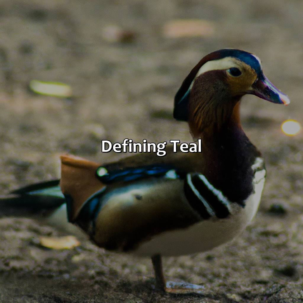 Defining Teal  - What Does The Color Teal Look Like, 