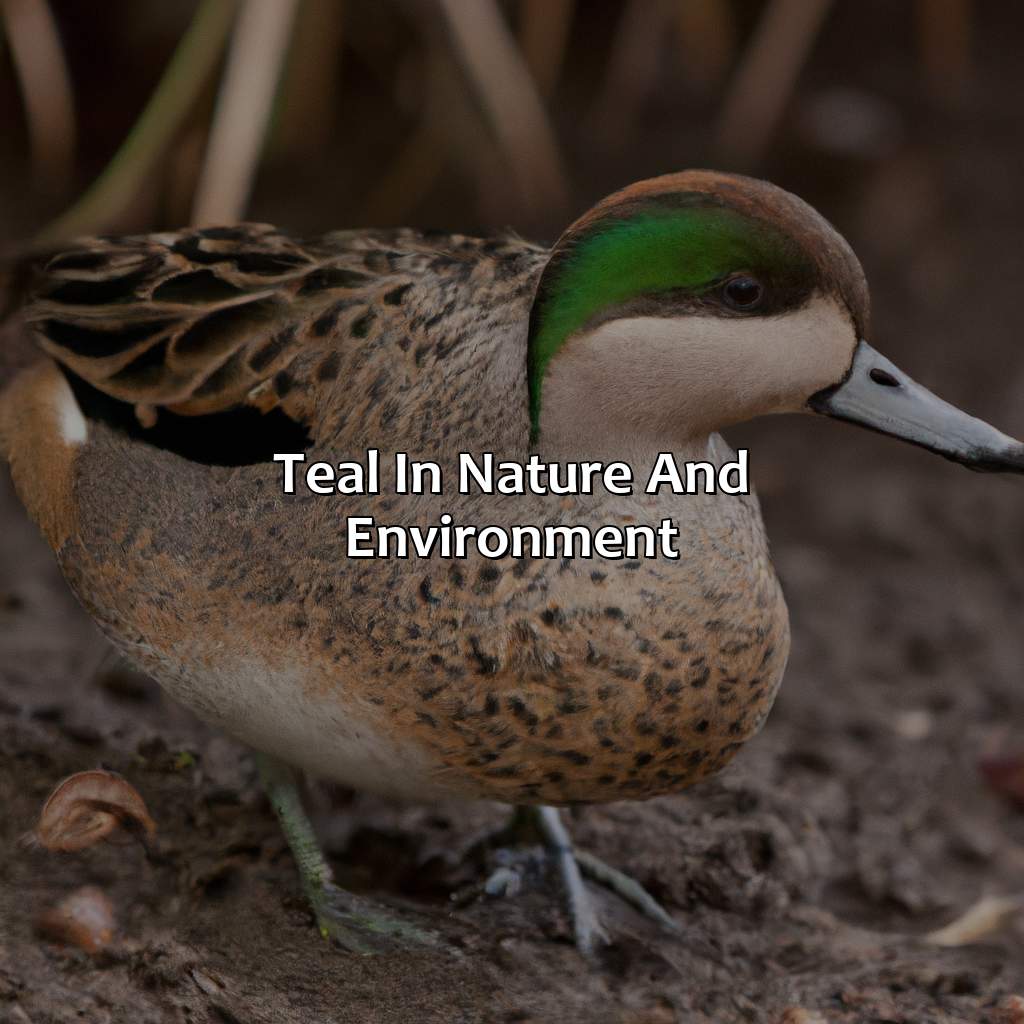 Teal In Nature And Environment  - What Does The Color Teal Symbolize, 