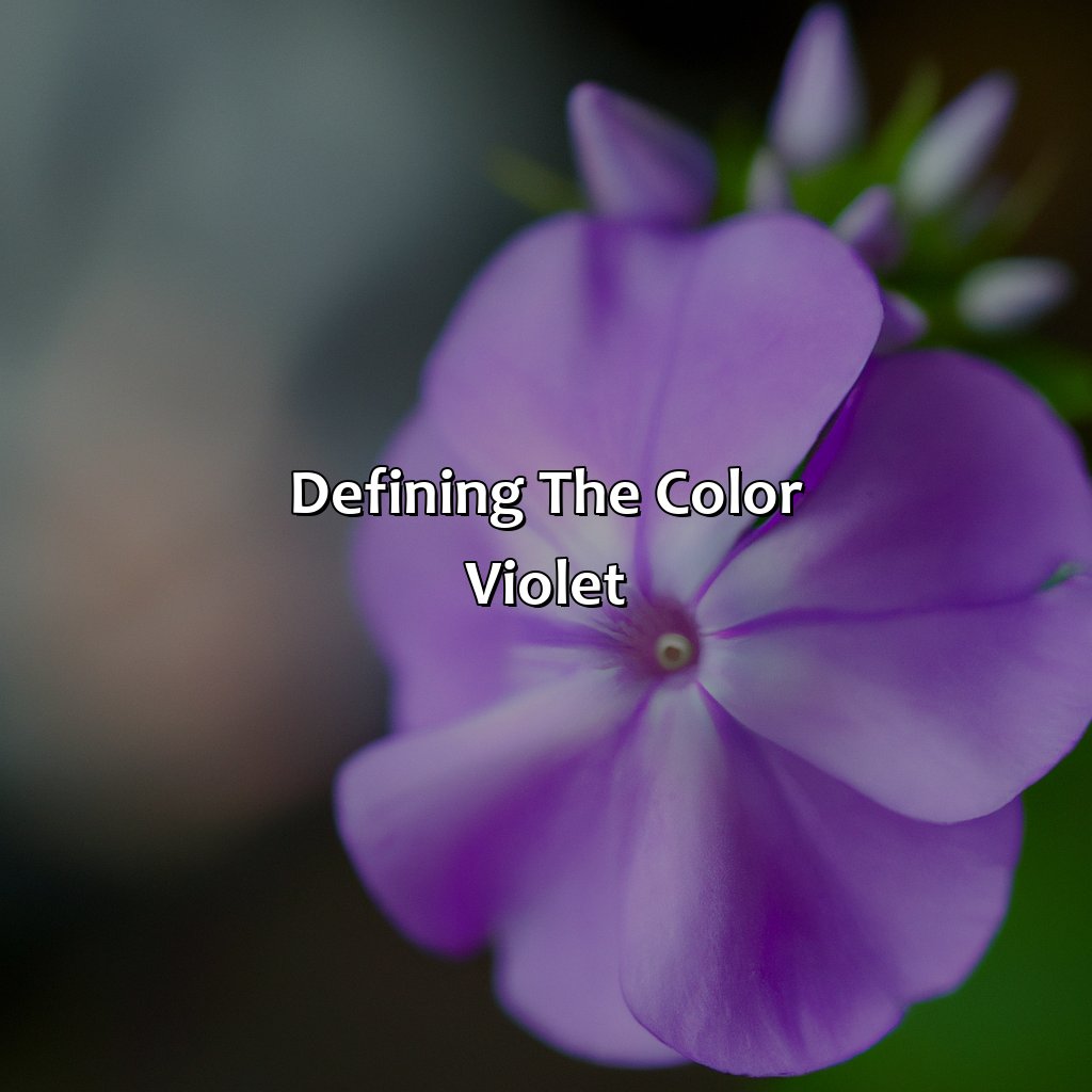Defining The Color Violet  - What Does The Color Violet Look Like, 