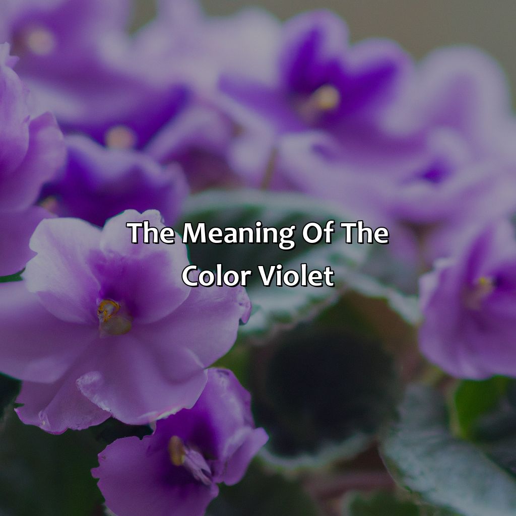 The Meaning Of The Color Violet  - What Does The Color Violet Mean, 
