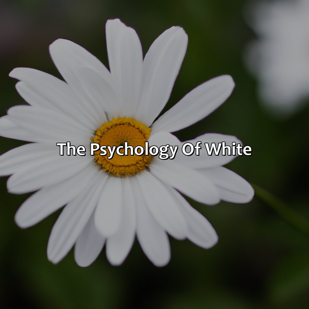 The Psychology Of White  - What Does The Color White Mean, 