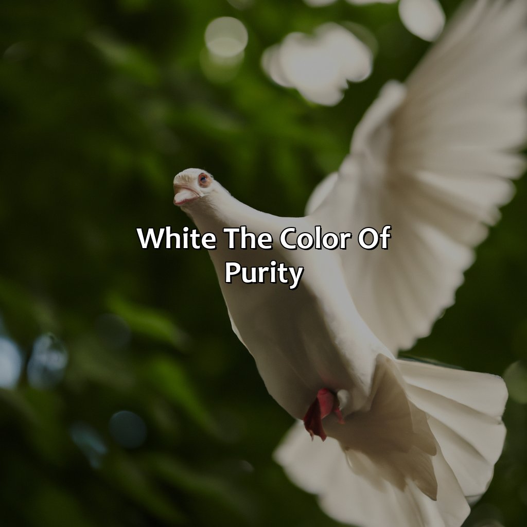 White: The Color Of Purity  - What Does The Color White Mean In A Dream Biblically, 