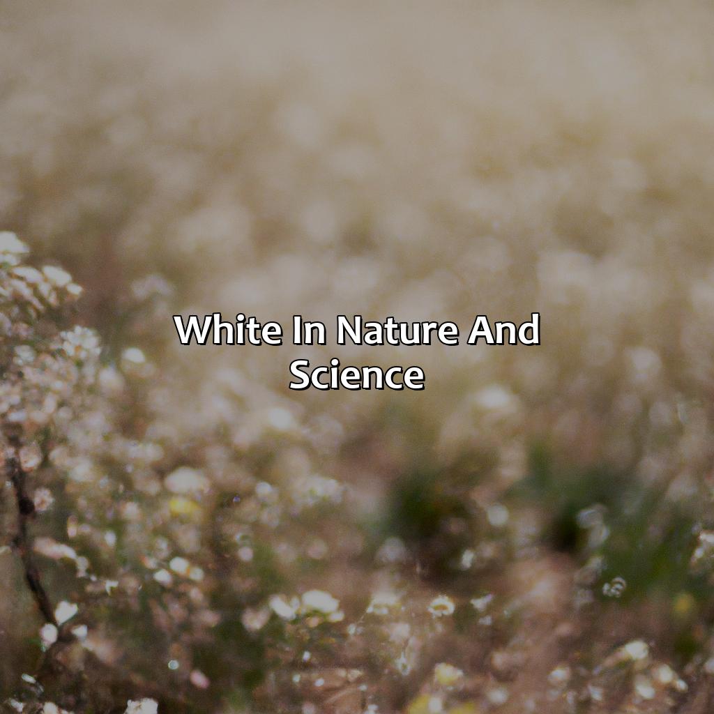White In Nature And Science  - What Does The Color White Represent, 