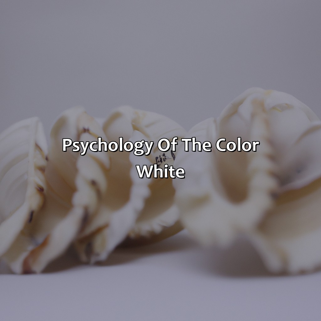 Psychology Of The Color White  - What Does The Color White Represent, 