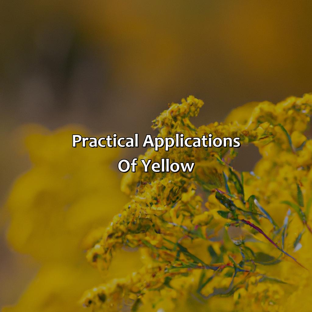 Practical Applications Of Yellow - What Does The Color Yellow Mean?, 