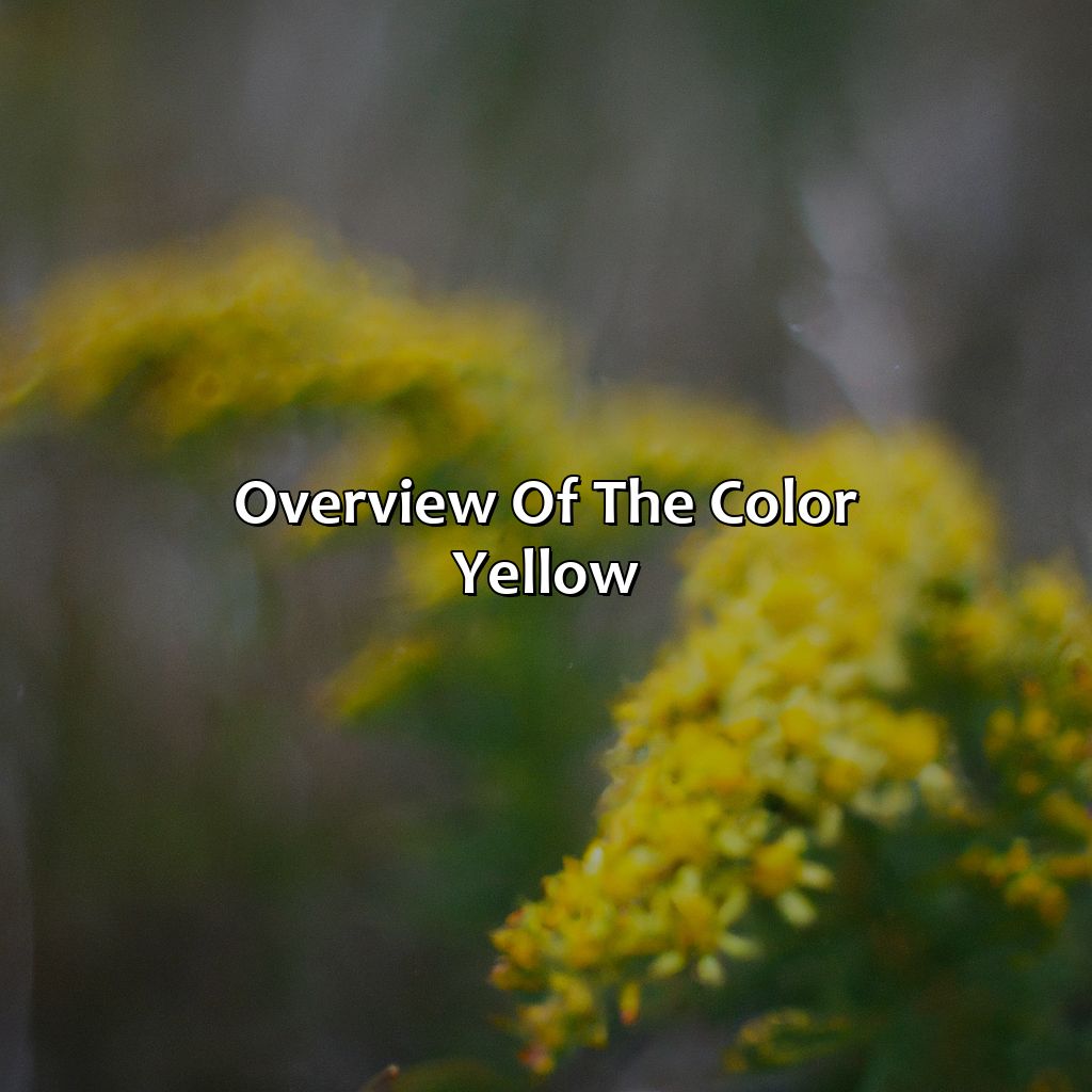 Overview Of The Color Yellow  - What Does The Color Yellow Mean?, 