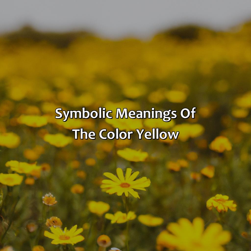Symbolic Meanings Of The Color Yellow  - What Does The Color Yellow Mean?, 