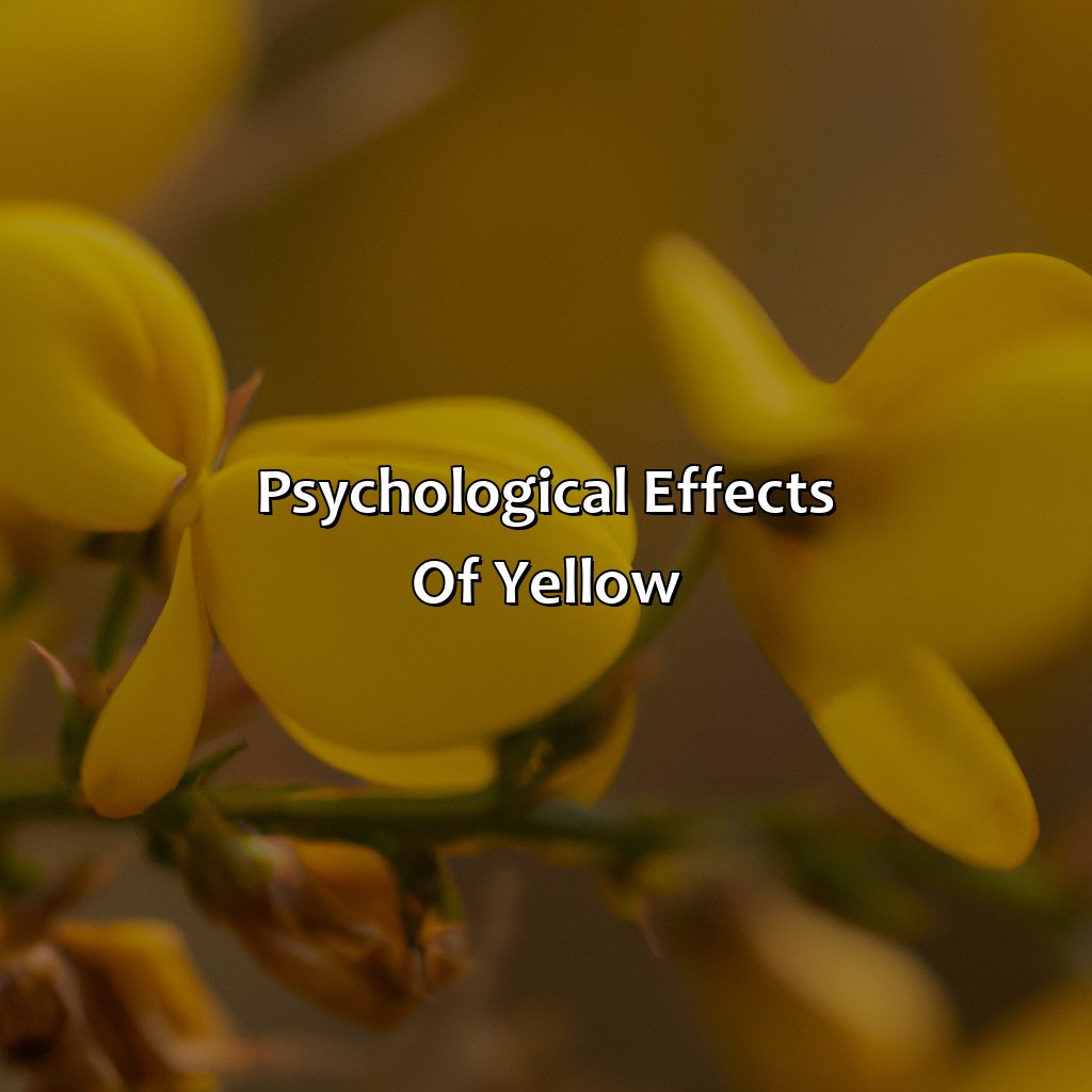Psychological Effects Of Yellow  - What Does The Color Yellow Mean?, 