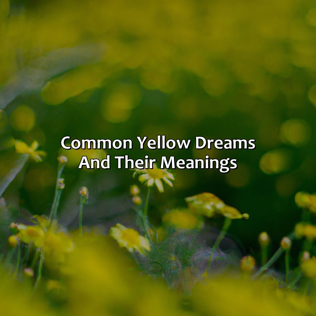 Common Yellow Dreams And Their Meanings  - What Does The Color Yellow Mean In A Dream Biblically, 
