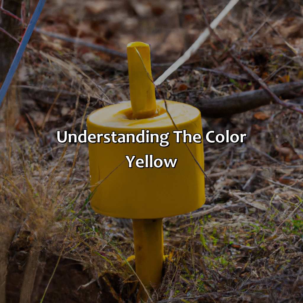 Understanding The Color Yellow  - What Does The Color Yellow Mean To You, 