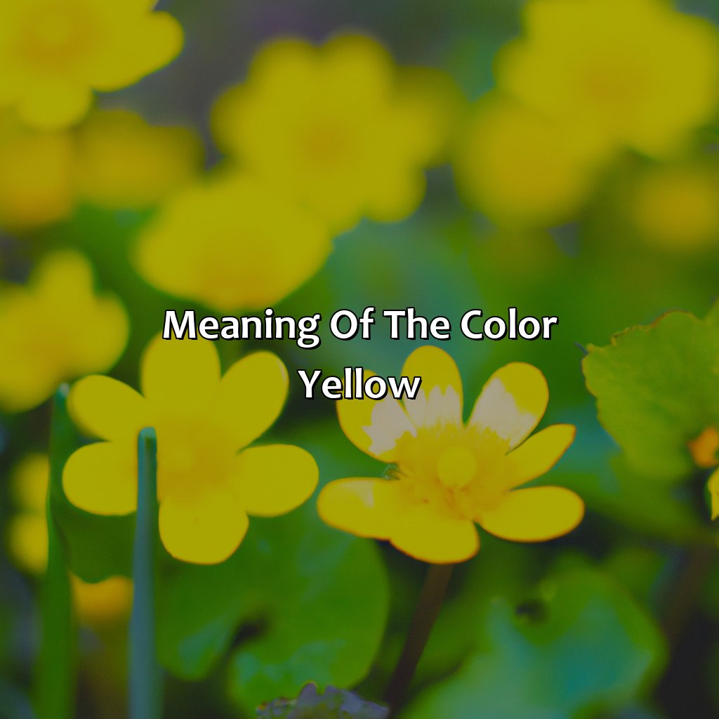 Meaning Of The Color Yellow  - What Does The Color Yellow Represent Spiritually, 