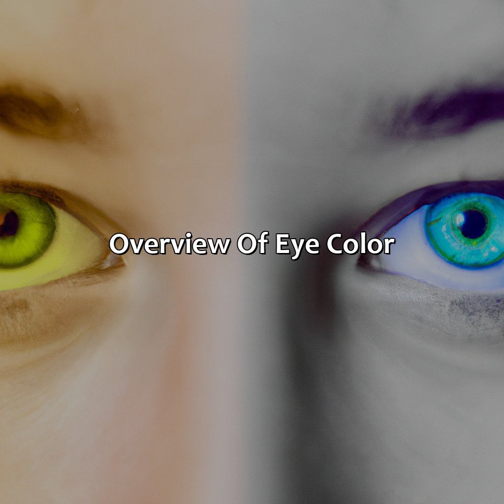 Overview Of Eye Color  - What Does Your Eye Color Say About You, 