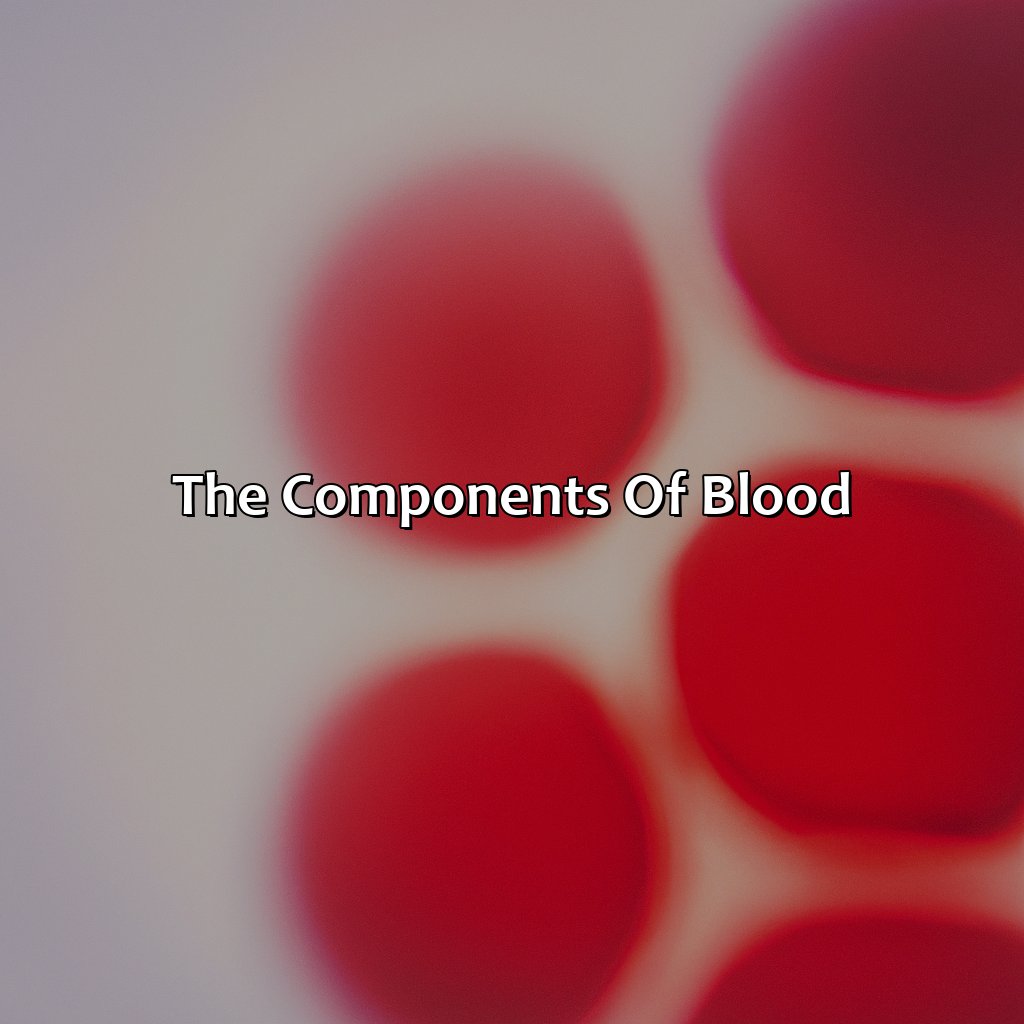 The Components Of Blood  - What Gives Blood Its Color, 