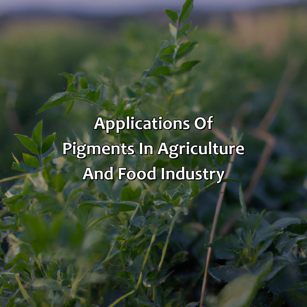 Applications Of Pigments In Agriculture And Food Industry  - What Gives Plants Their Green Color, 