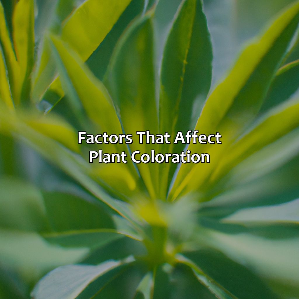 Factors That Affect Plant Coloration  - What Gives Plants Their Green Color, 