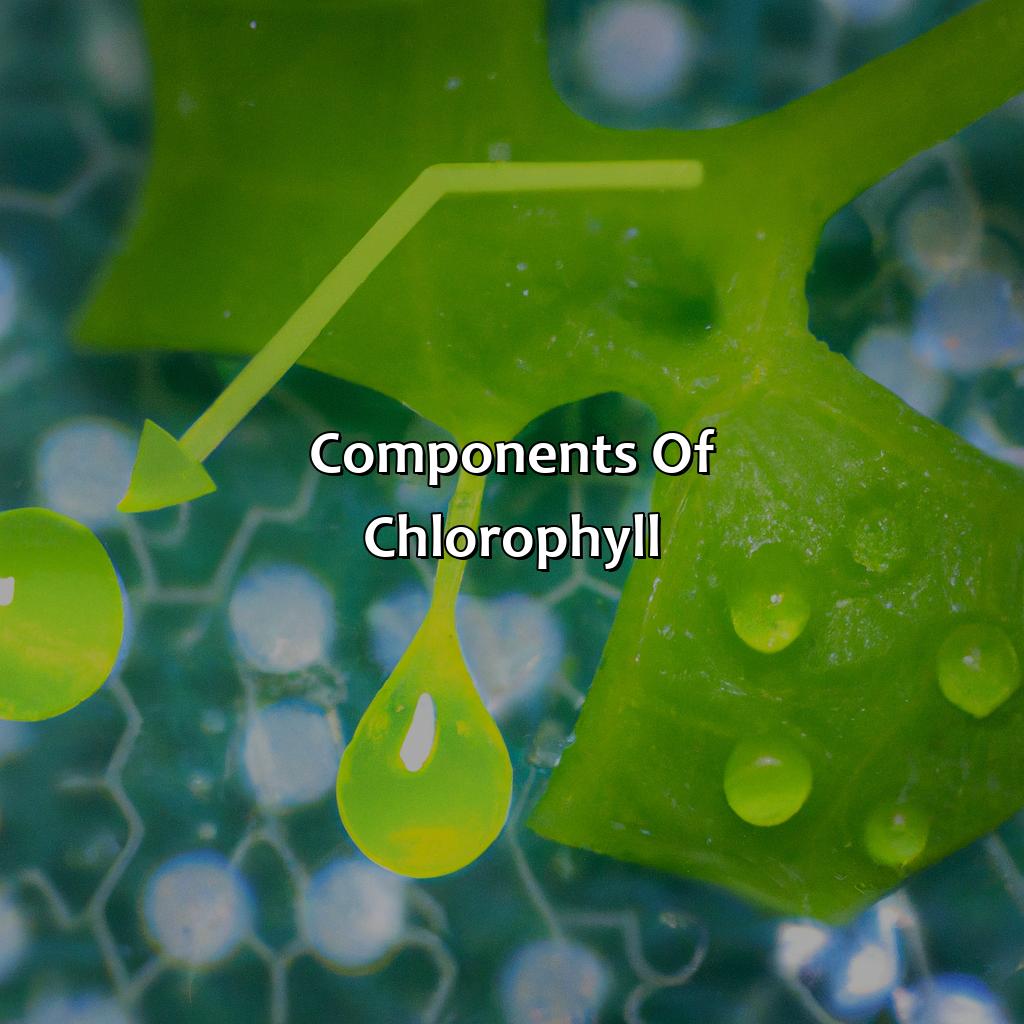 Components Of Chlorophyll  - What Gives Plants Their Green Color, 